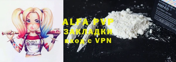 гашик Алексеевка