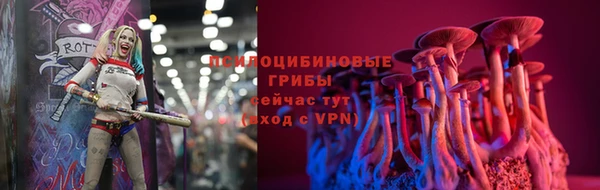 гашик Алексеевка