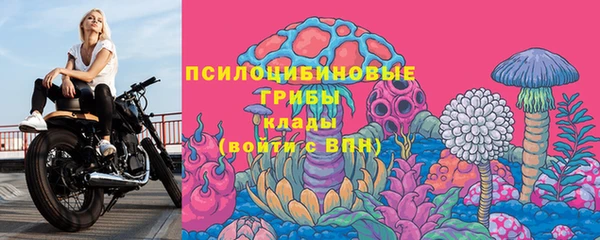 прущие грибы Алзамай