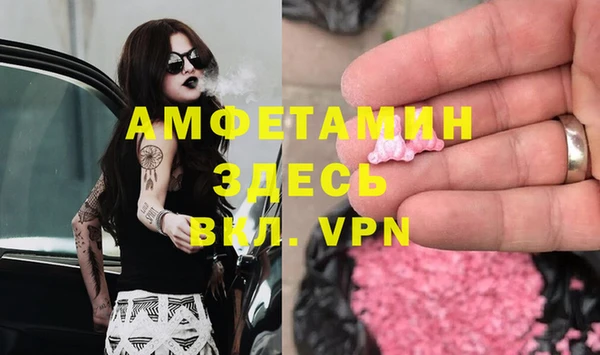 прущие грибы Алексин