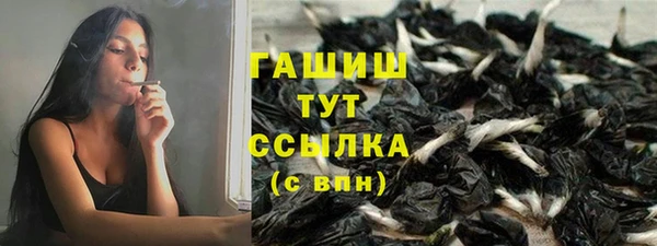 гашик Алексеевка